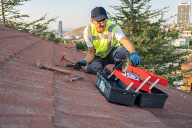 Best Fascia and Soffit Installation  in Logan, IA